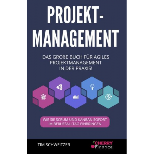 Tim Schweitzer - Projektmanagement