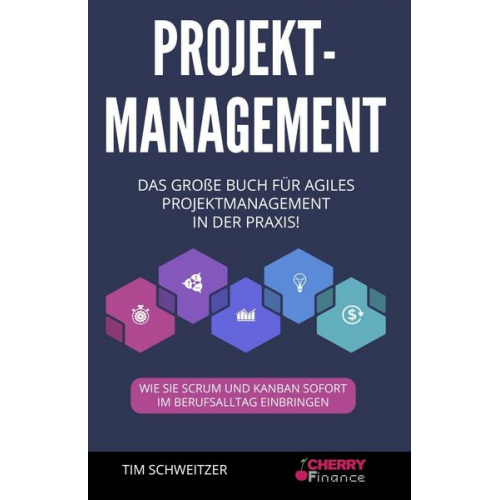 Tim Schweitzer - Projektmanagement