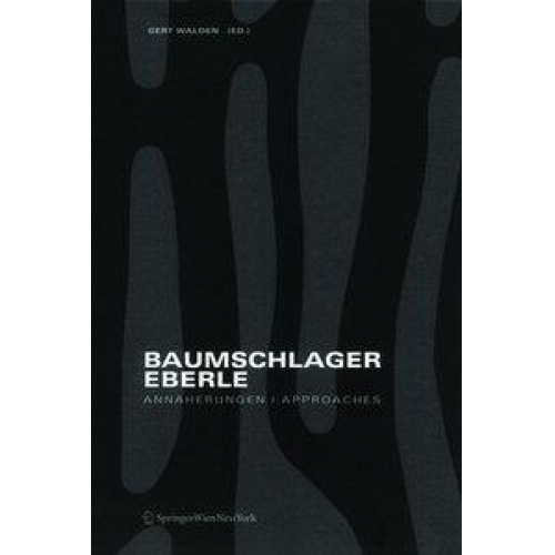 Baumschlager Eberle Annäherungen - Approaches