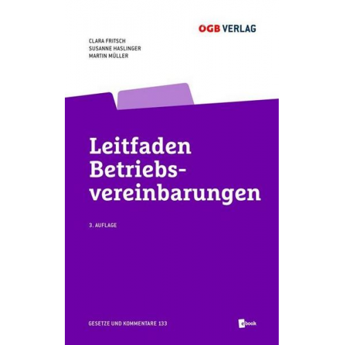 Clara Fritsch & Susanne Haslinger & Martin Müller - Leitfaden Betriebsvereinbarungen