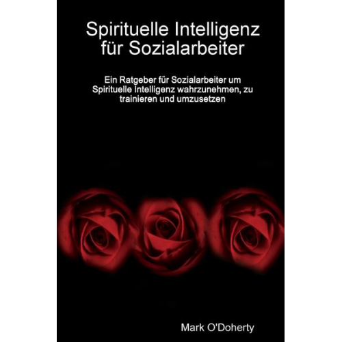 Mark O'Doherty - Spirituelle Intelligenz für Sozialarbeiter - Ein Ratgeber für Sozialarbeiter um Spirituelle Intelligenz wahrzunehmen, zu trainieren und umzusetzen