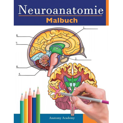 Anatomy Academy - Neuroanatomie Malbuch