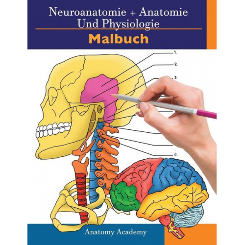 Clement Harrison - Neuroanatomie + Anatomie und Physiologie Malbuch