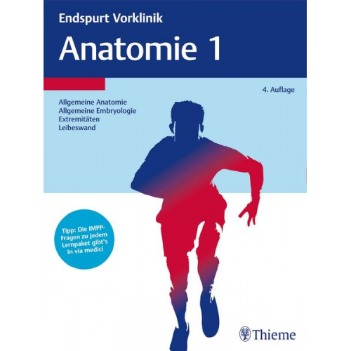 Endspurt Vorklinik: Anatomie 1