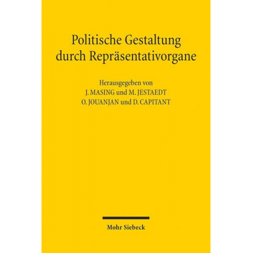 Politische Gestaltung durch Repräsentativorgane