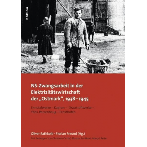 NS-Zwangsarbeit in der Elektrizitätswirtschaft der »Ostmark«, 1938-1945