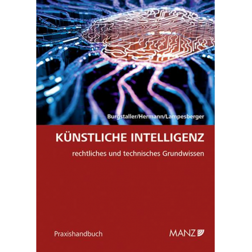 Peter Burgstaller & Eckehard Hermann & Harald Lampesberger - Künstliche Intelligenz