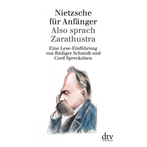 Rüdiger Schmidt - Nietzsche für Anfänger