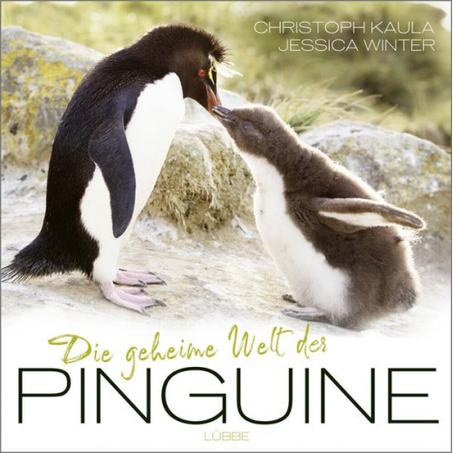 Christoph Kaula & Jessica Winter - Die geheime Welt der Pinguine