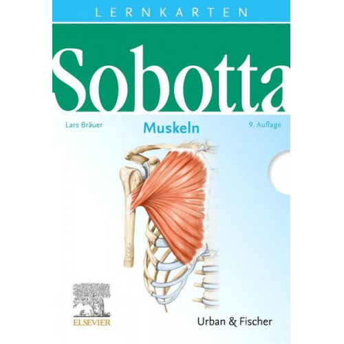 Lars Bräuer - Sobotta Lernkarten Muskeln