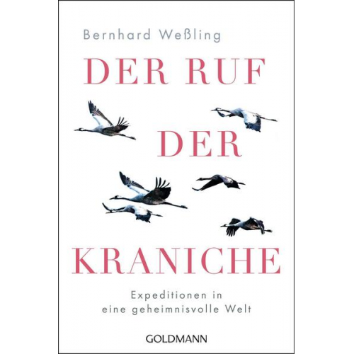 Bernhard Wessling - Der Ruf der Kraniche