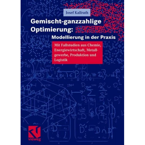 Josef Kallrath - Gemischt-ganzzahlige Optimierung: Modelle und Anwendungen