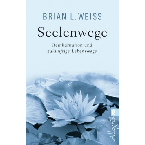 Brian L. Weiss - Seelenwege