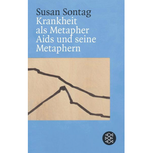 Susan Sontag - Krankheit als Metapher & Aids und seine Metaphern