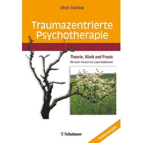 Ulrich Sachsse - Traumazentrierte Psychotherapie