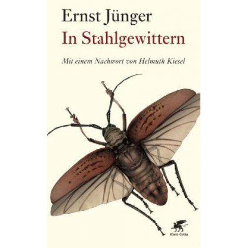 Ernst Jünger - In Stahlgewittern