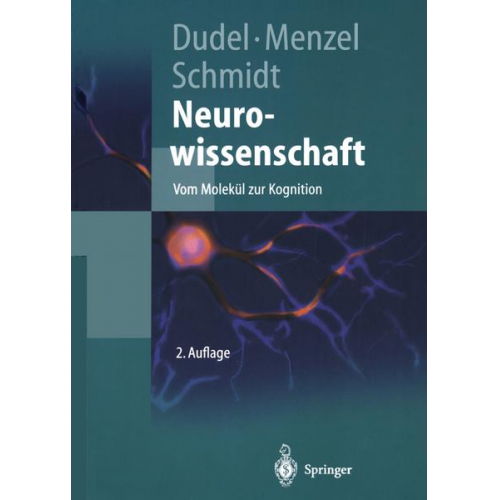 Neurowissenschaft