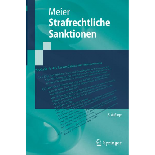 Bernd-Dieter Meier - Strafrechtliche Sanktionen