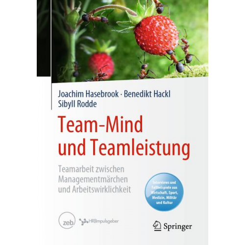 Joachim Hasebrook & Benedikt Hackl & Sibyll Rodde - Team-Mind und Teamleistung