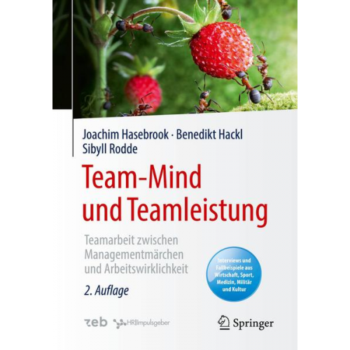 Joachim Hasebrook & Benedikt Hackl & Sibyll Rodde - Team-Mind und Teamleistung