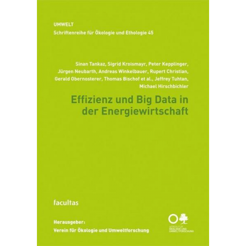 Peter Kepplinger & Monika Hirschmugl-Fuchs & Henrike Bayer & Markus Preissinger & Jürgen Neubarth - Effizienz und Big Data in der Energiewirtschaft