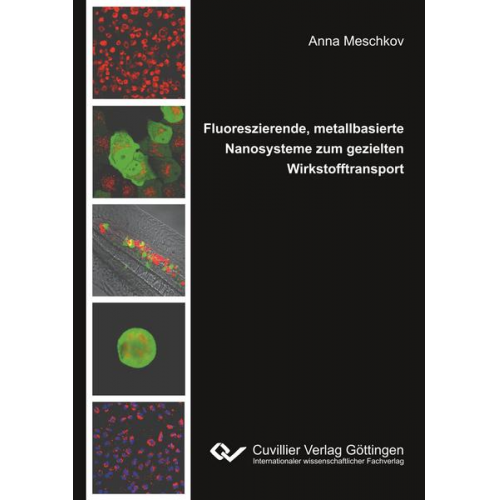 Anna Meschkov - Fluoreszierende, metallbasierte Nanosysteme zum gezielten Wirkstofftransport