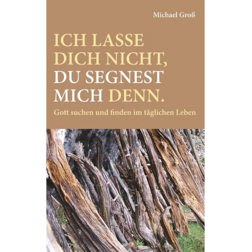 Michael Gross - Ich lasse dich nicht, du segnest mich denn.