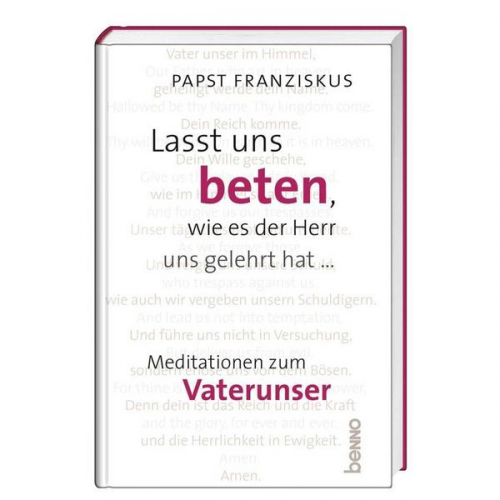 Papst Franziskus - Lasst uns beten, wie es der Herr uns gelehrt hat …