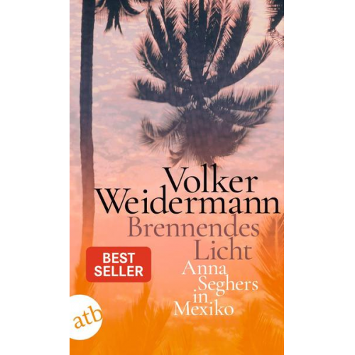 Volker Weidermann - Brennendes Licht