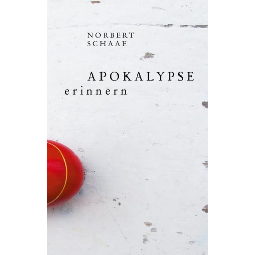 Norbert Schaaf - Apokalypse erinnern