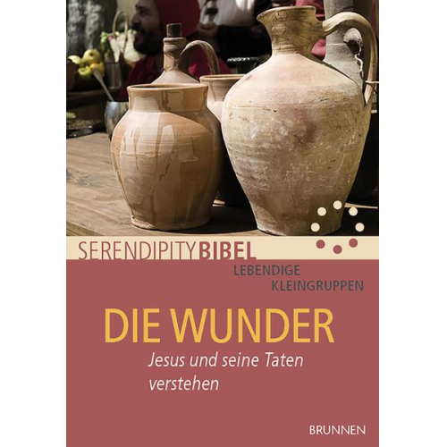 Serendipity bibel - Die Wunder