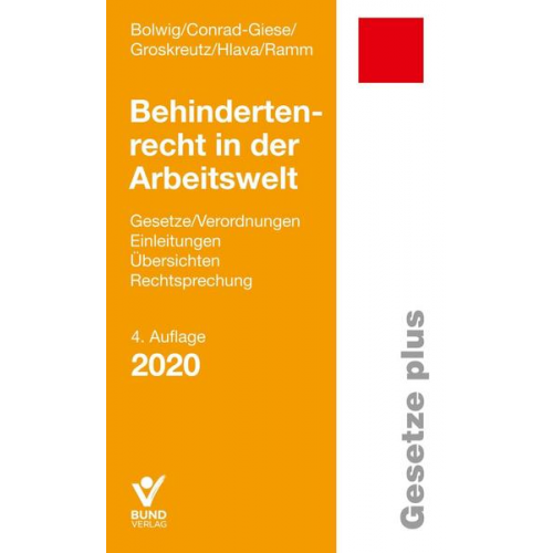 Nils Bolwig & Maren Conrad-Giese & Henning Groskreutz & Daniel Hlava & Diana Ramm - Behindertenrecht in der Arbeitswelt