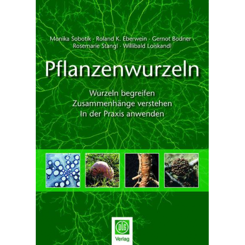 Monika Sobotik & Roland K. Eberwein & Gernot Bodner & Rosemarie Stangl & Willibald Loiskandl - Pflanzenwurzeln