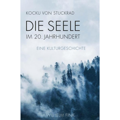 Kocku Stuckrad - Die Seele im 20. Jahrhundert