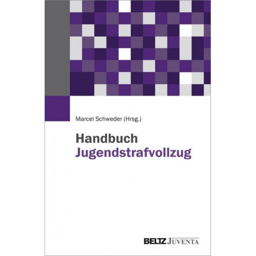 Handbuch Jugendstrafvollzug