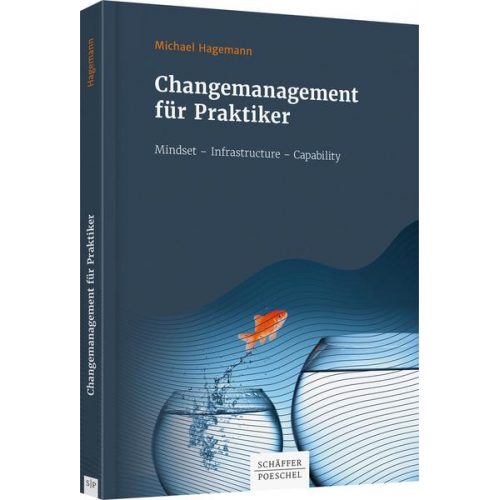 Michael Hagemann - Changemanagement für Praktiker