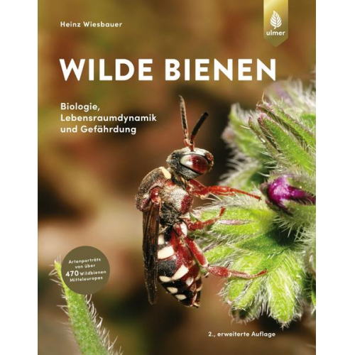 Heinz Wiesbauer - Wilde Bienen