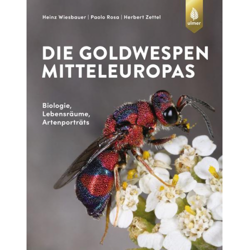 Heinz Wiesbauer & Paolo Rosa & Herbert Zettel - Die Goldwespen Mitteleuropas