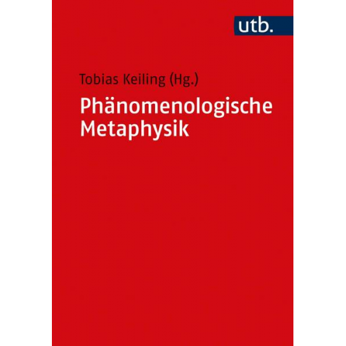 Phänomenologische Metaphysik