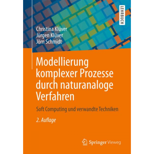 Christina Klüver & Jürgen Klüver & Jörn Schmidt - Modellierung komplexer Prozesse durch naturanaloge Verfahren