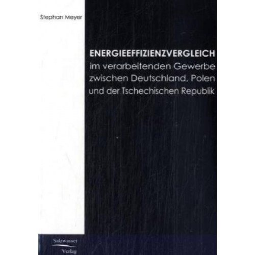 Stephan Meyer - Energieeffizienzvergleich im verarbeitenden Gewerbe in Deutschland, Polen und Tschechien