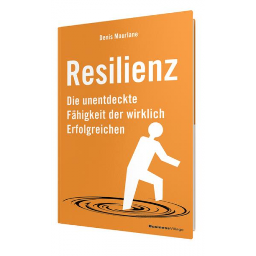 Denis Mourlane - Resilienz