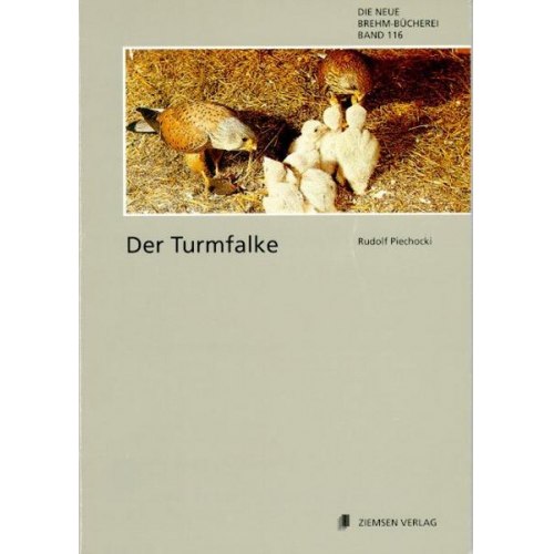 Rudolf Piechocki - Der Turmfalke