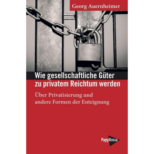 Georg Auernheimer - Wie gesellschaftliche Güter zu privatem Reichtum werden