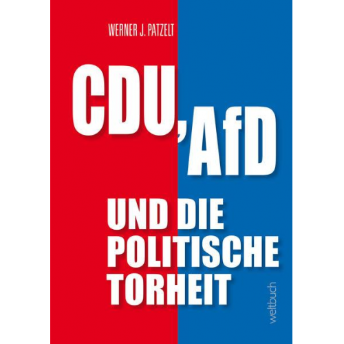 Werner J. Patzelt - CDU, AfD und die politische Torheit.