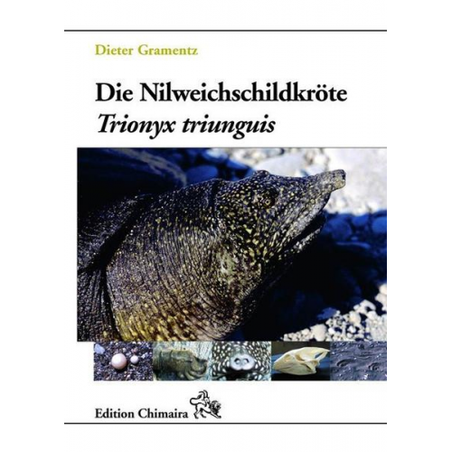 Dieter Gramentz - Die Nilweichschildkröte