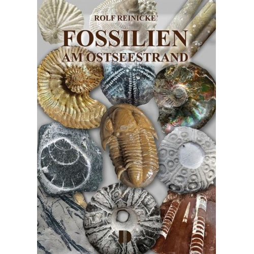 Rolf Reinicke - Fossilien am Ostseestrand