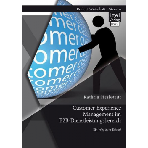 Kathrin Herbstritt - Customer Experience Management im B2B-Dienstleistungsbereich: Konzeption eines entscheidungsorientierten Managementansatzes