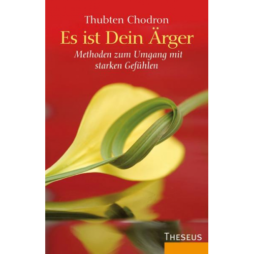 Thubten Chodron - Es ist Dein Ärger