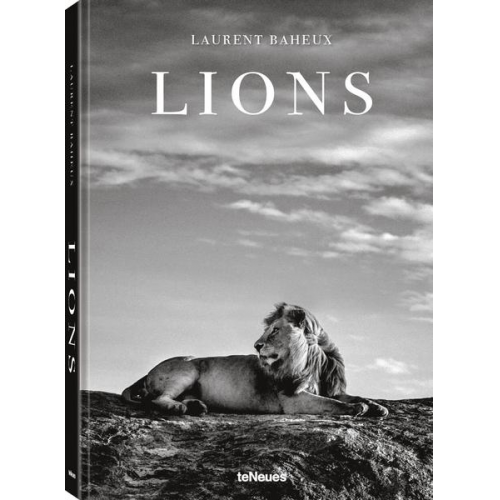 Laurent Baheux - Lions